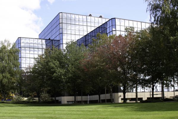 Commercial Tree Trimming in Spotsylvania
