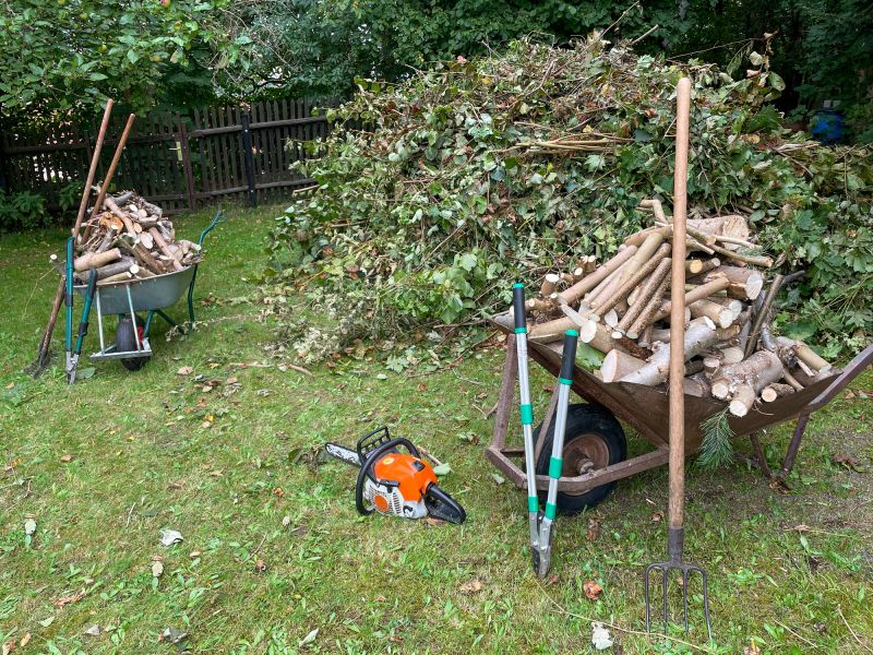 Clearing Debris After Storm