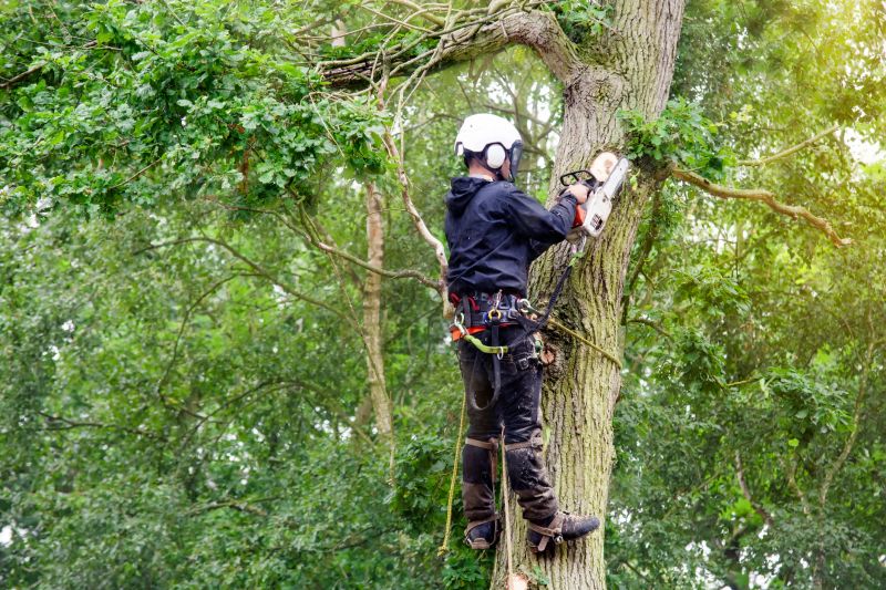 Arborist with Climbing Gear